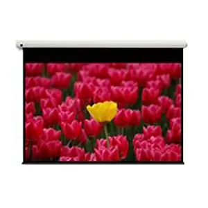 Écran motorisé Optoma DE-9120EGA 120" pour home cinéma et bureau